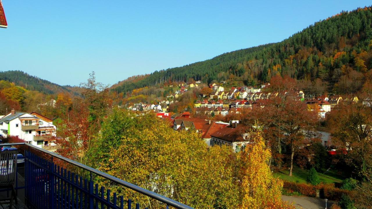 Villa Fink Schramberg Extérieur photo