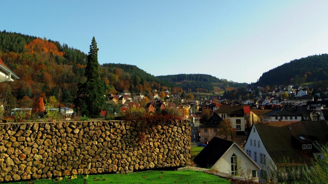 Villa Fink Schramberg Extérieur photo