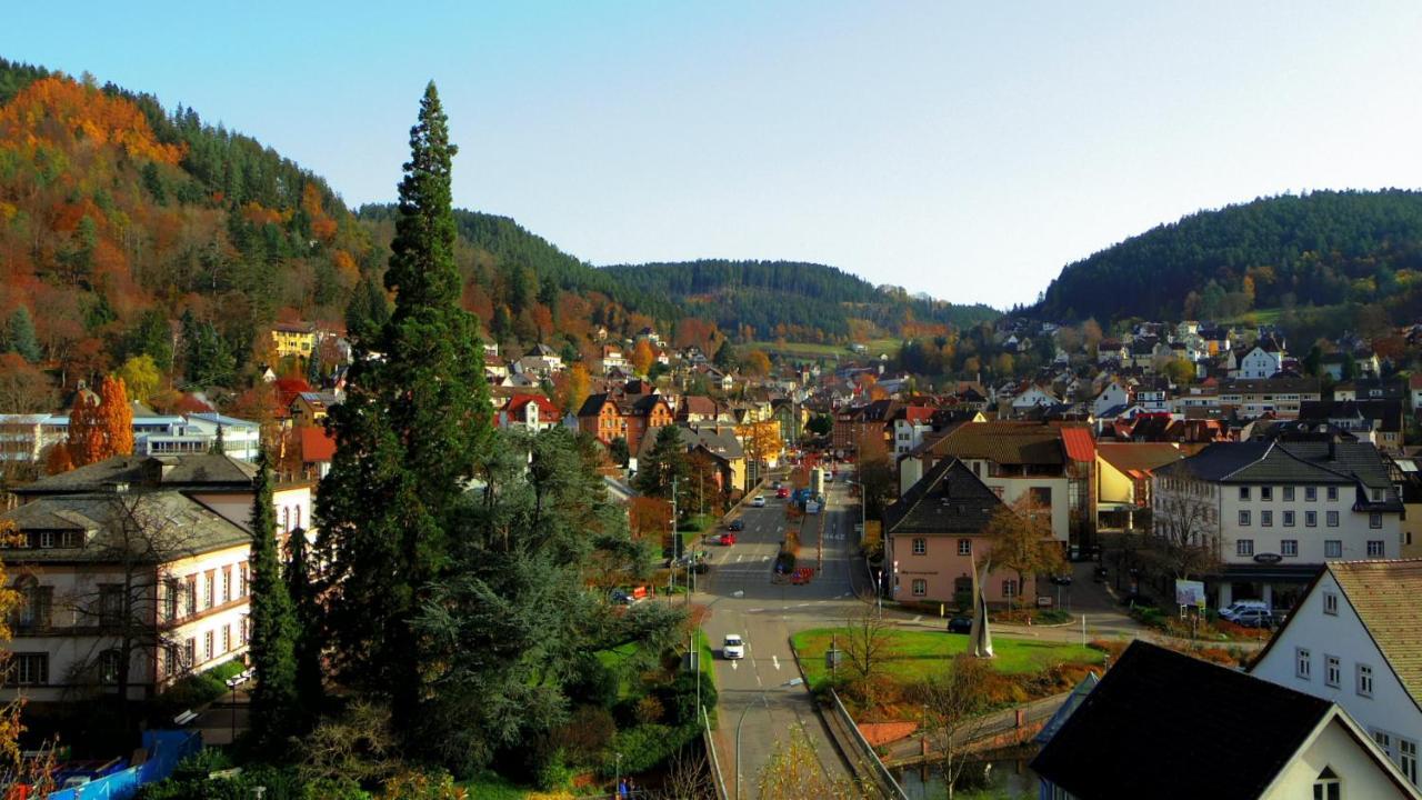 Villa Fink Schramberg Extérieur photo