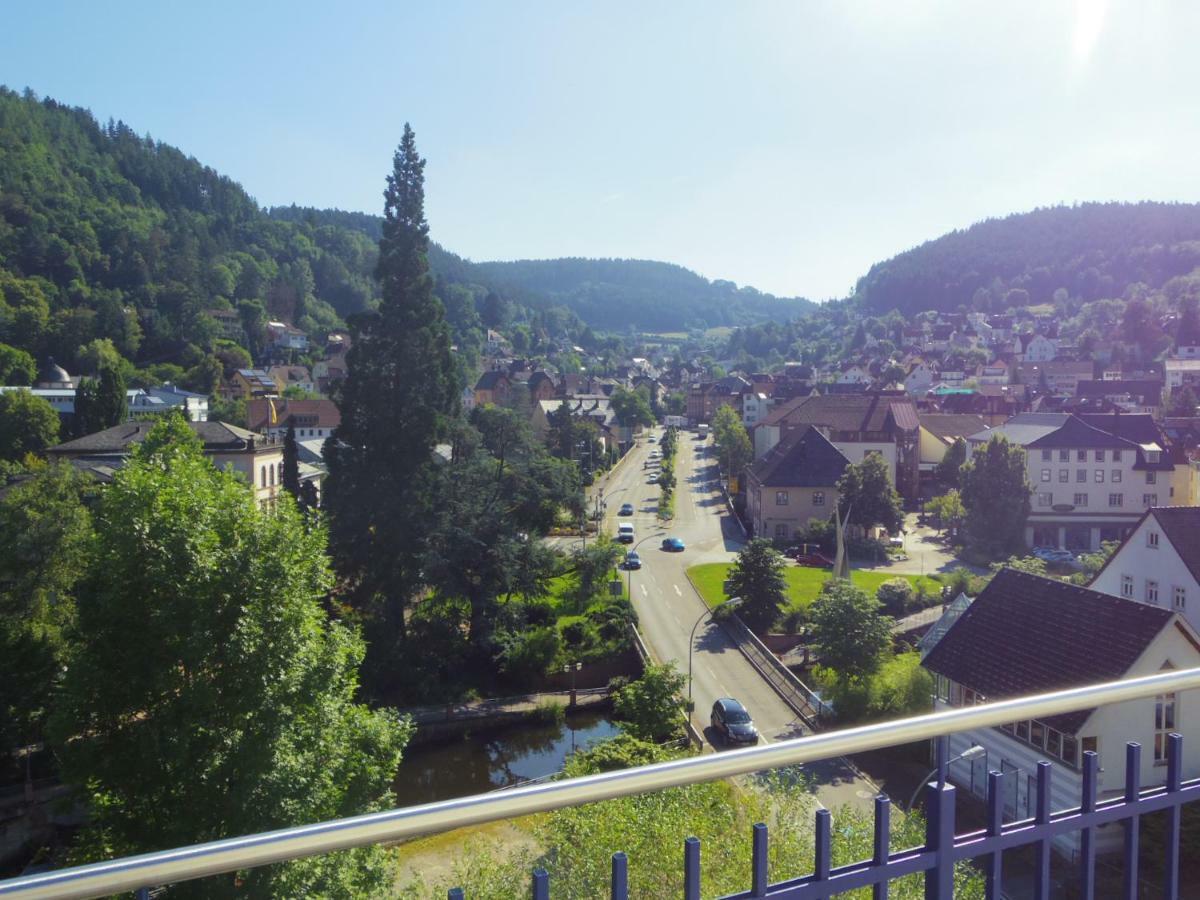 Villa Fink Schramberg Extérieur photo